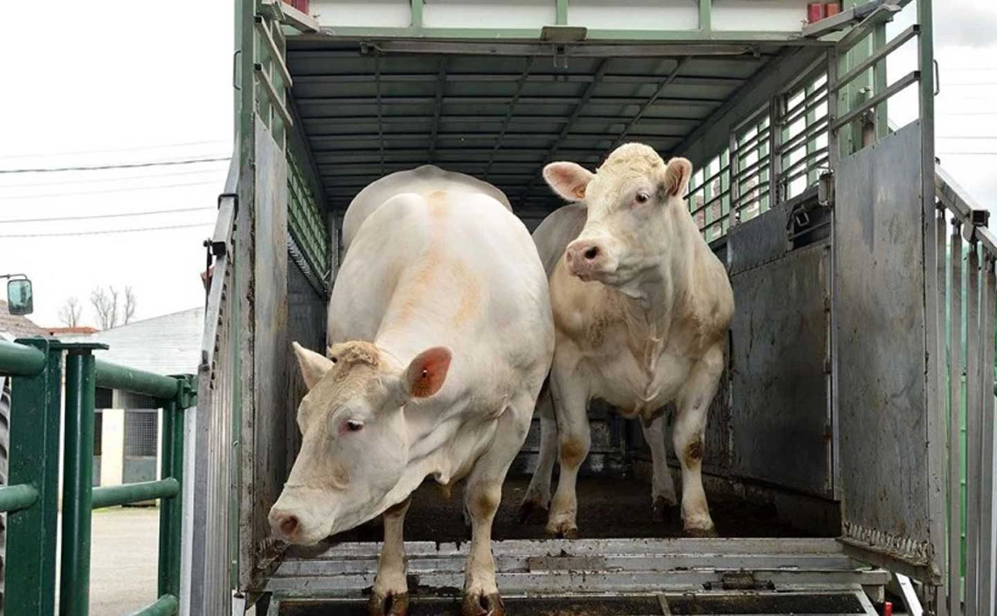 Magazine627a84b9995f7 10052022