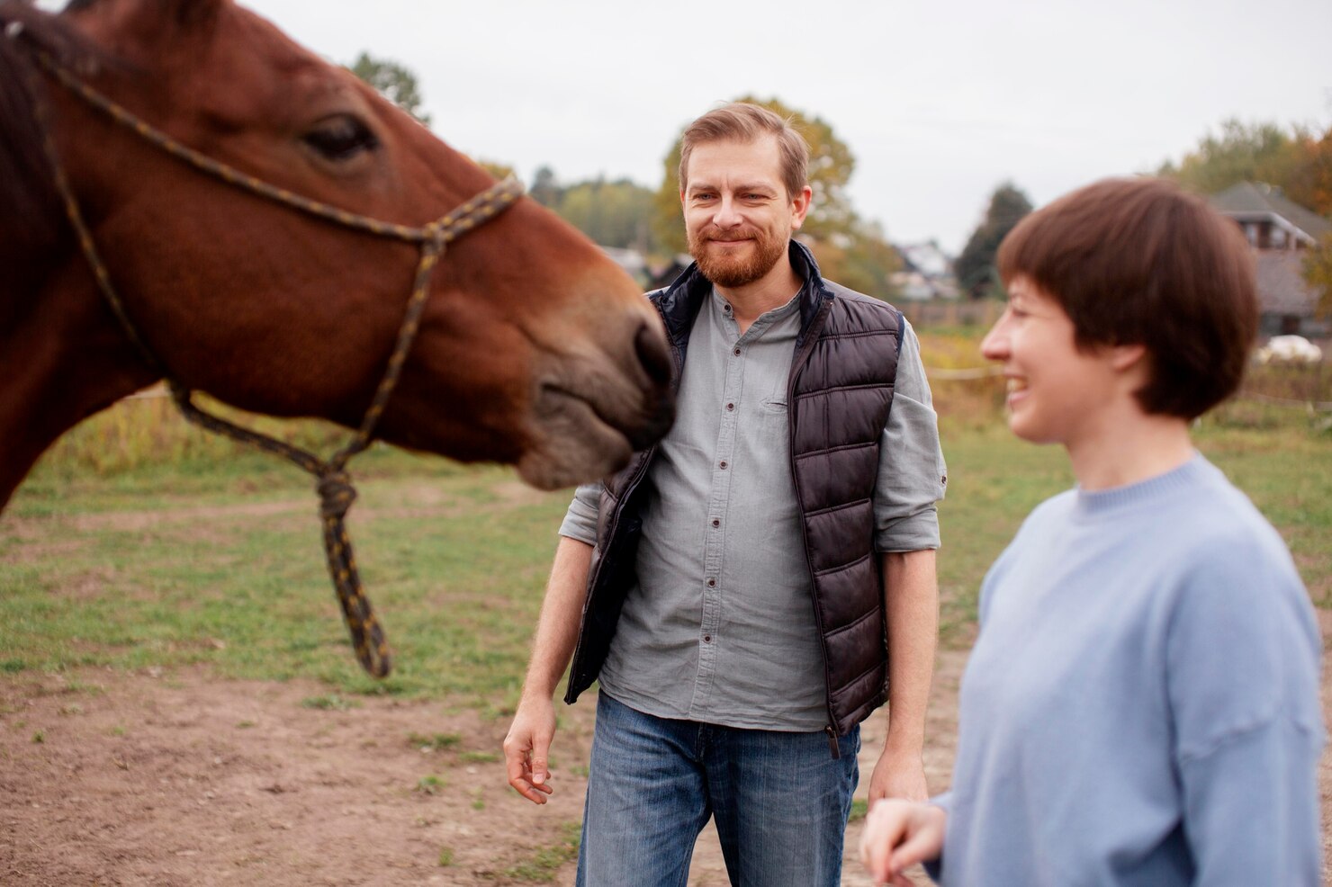 cerca granjero hermoso caballo 23 2149140353