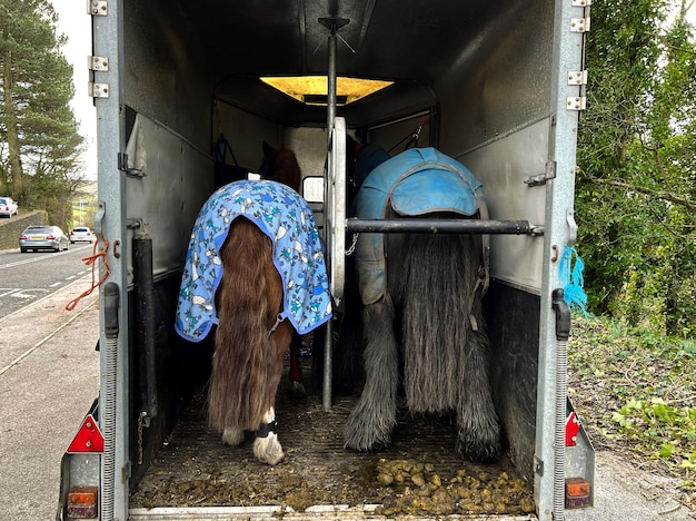 two horses trailer main keighley road haworth uk 1048944 11985104